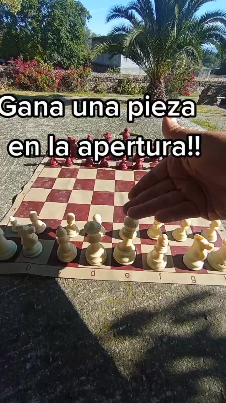 @profesantosajedrez