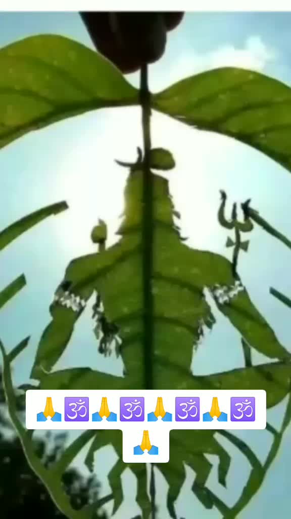 @UserNerajnasamal6658