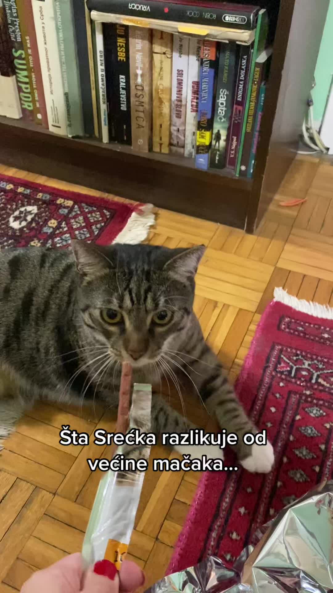 @Srećko & Rista 🐈⬛