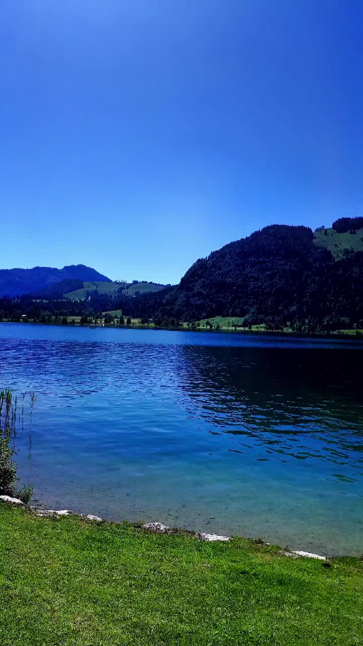 @lunasnowie1