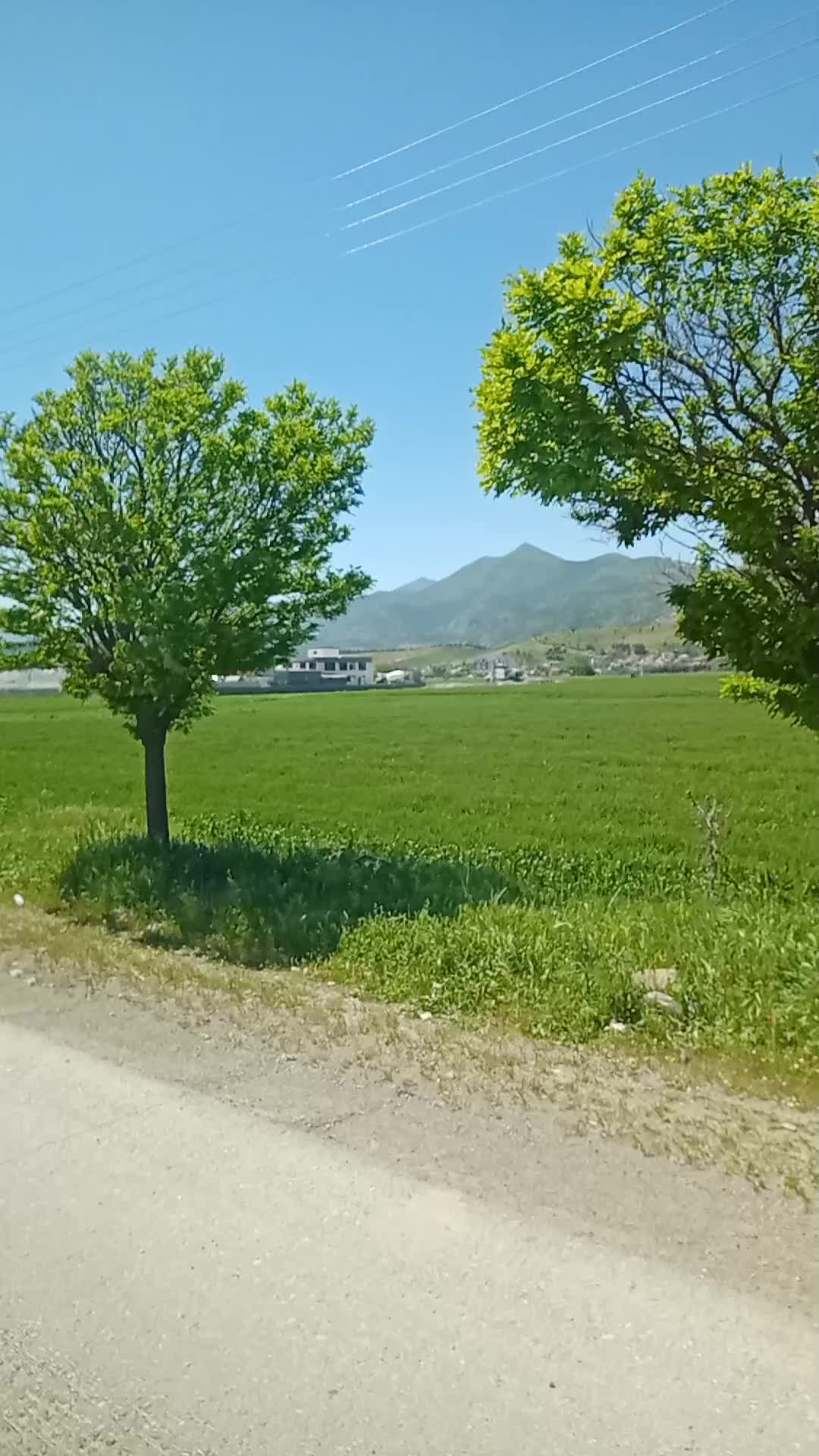 @yureksizim033