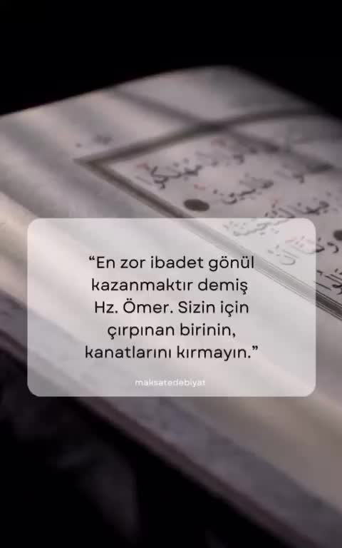 @filiz polat
