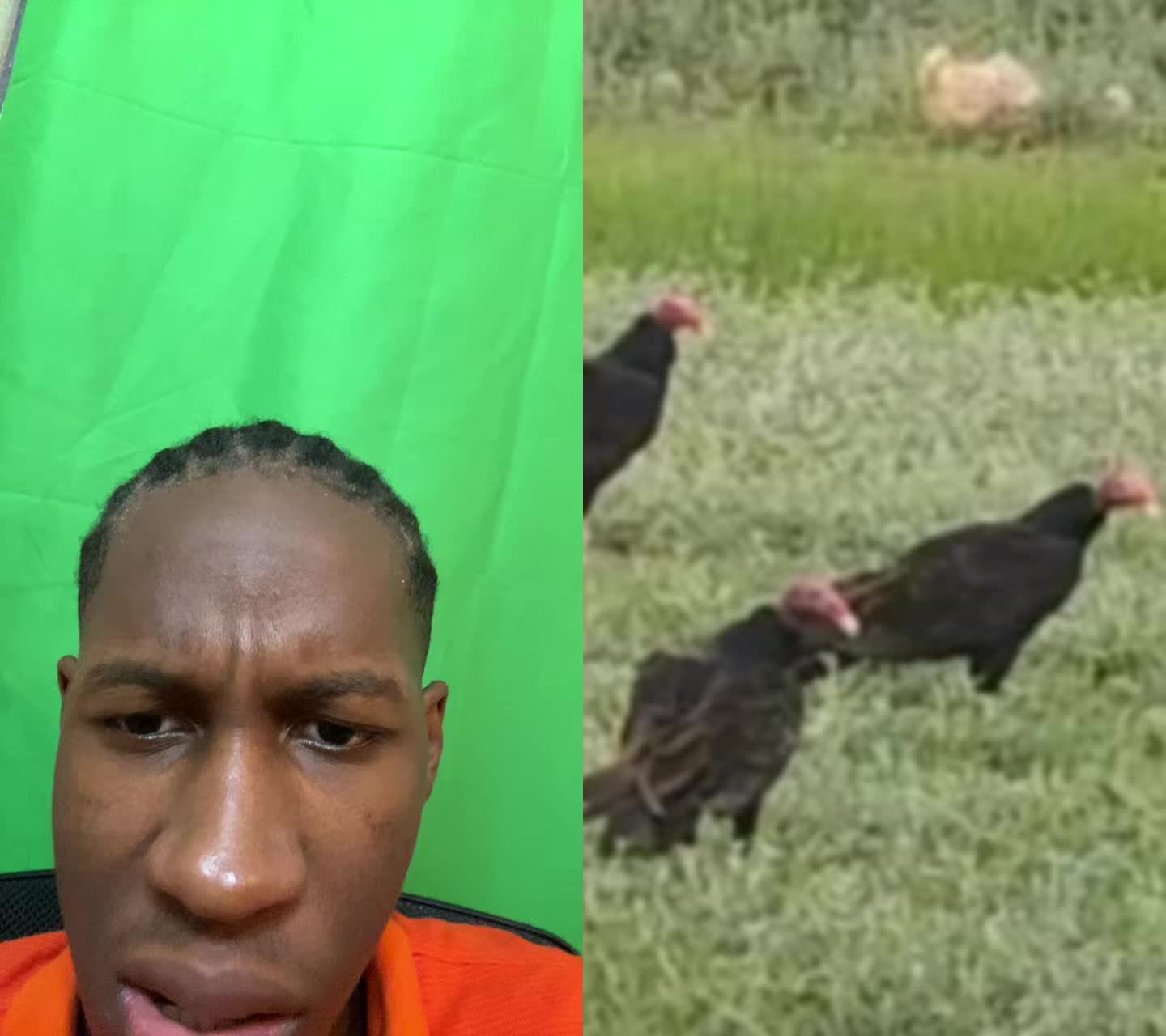 @seanreacts4u
