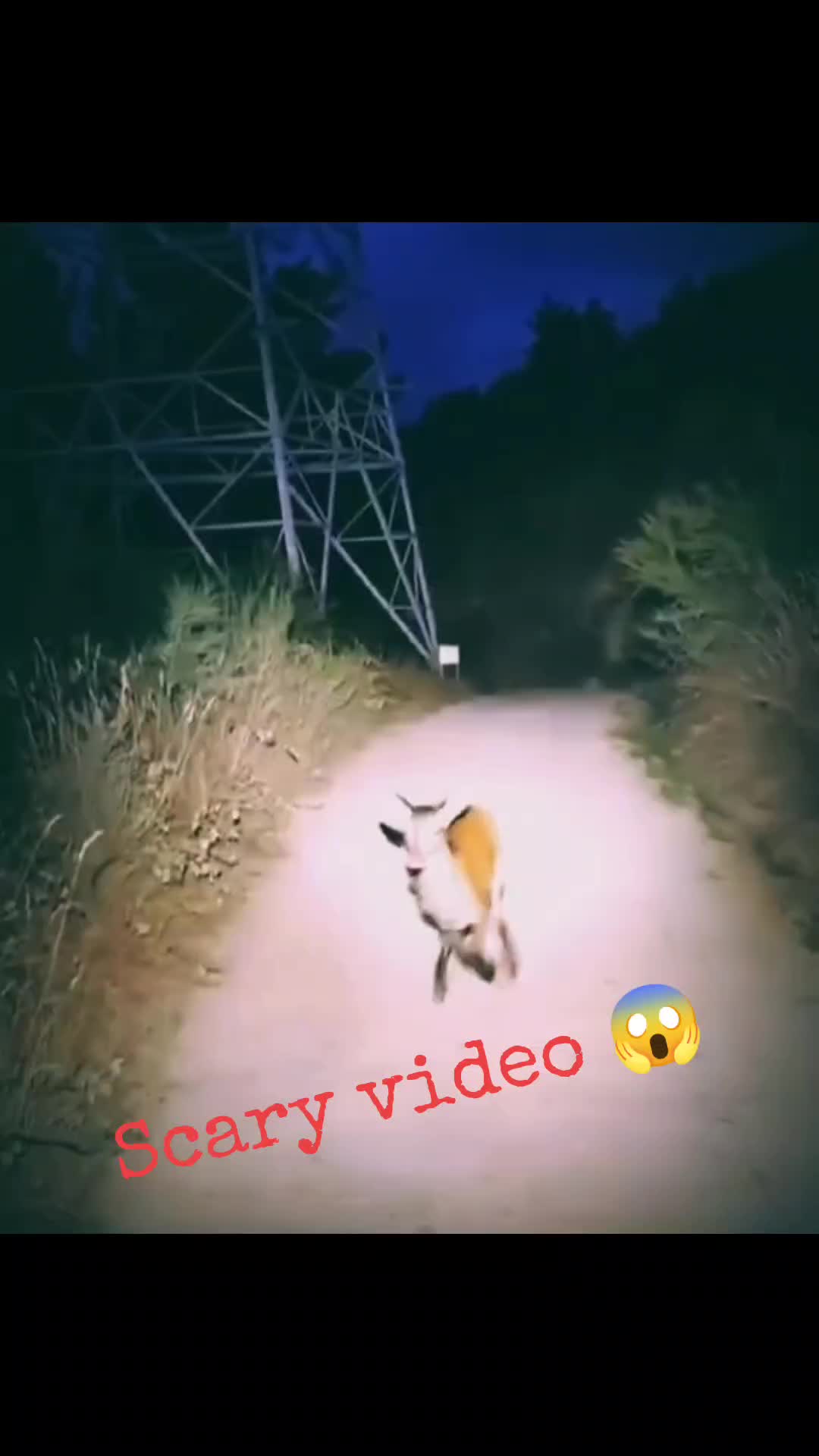 @shabathaka