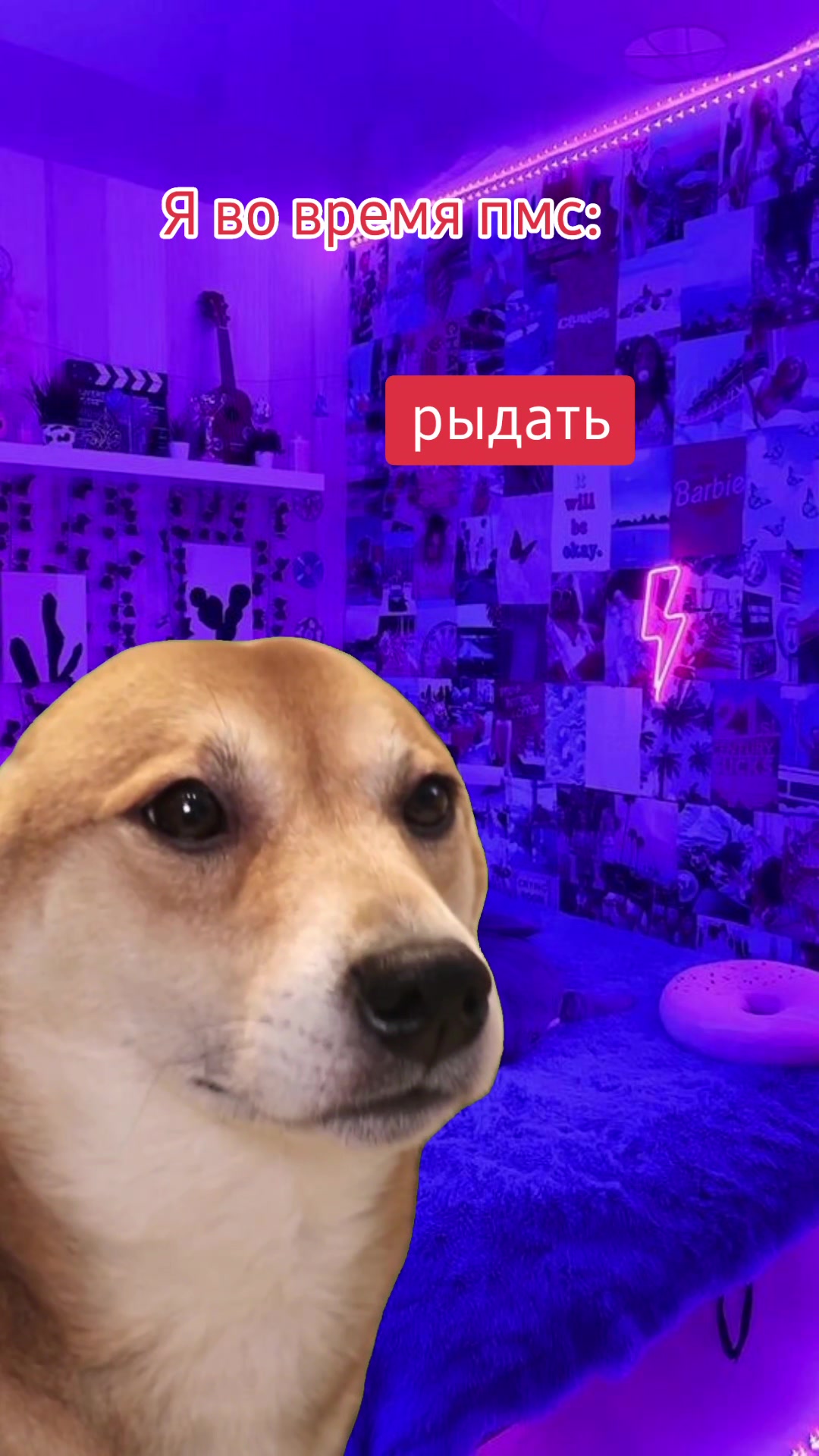 @Джулия-Юлия_17
