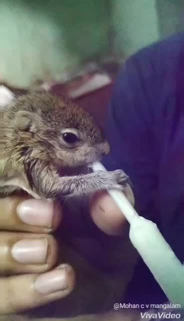 @๐ ÑÏKHÏล ๐