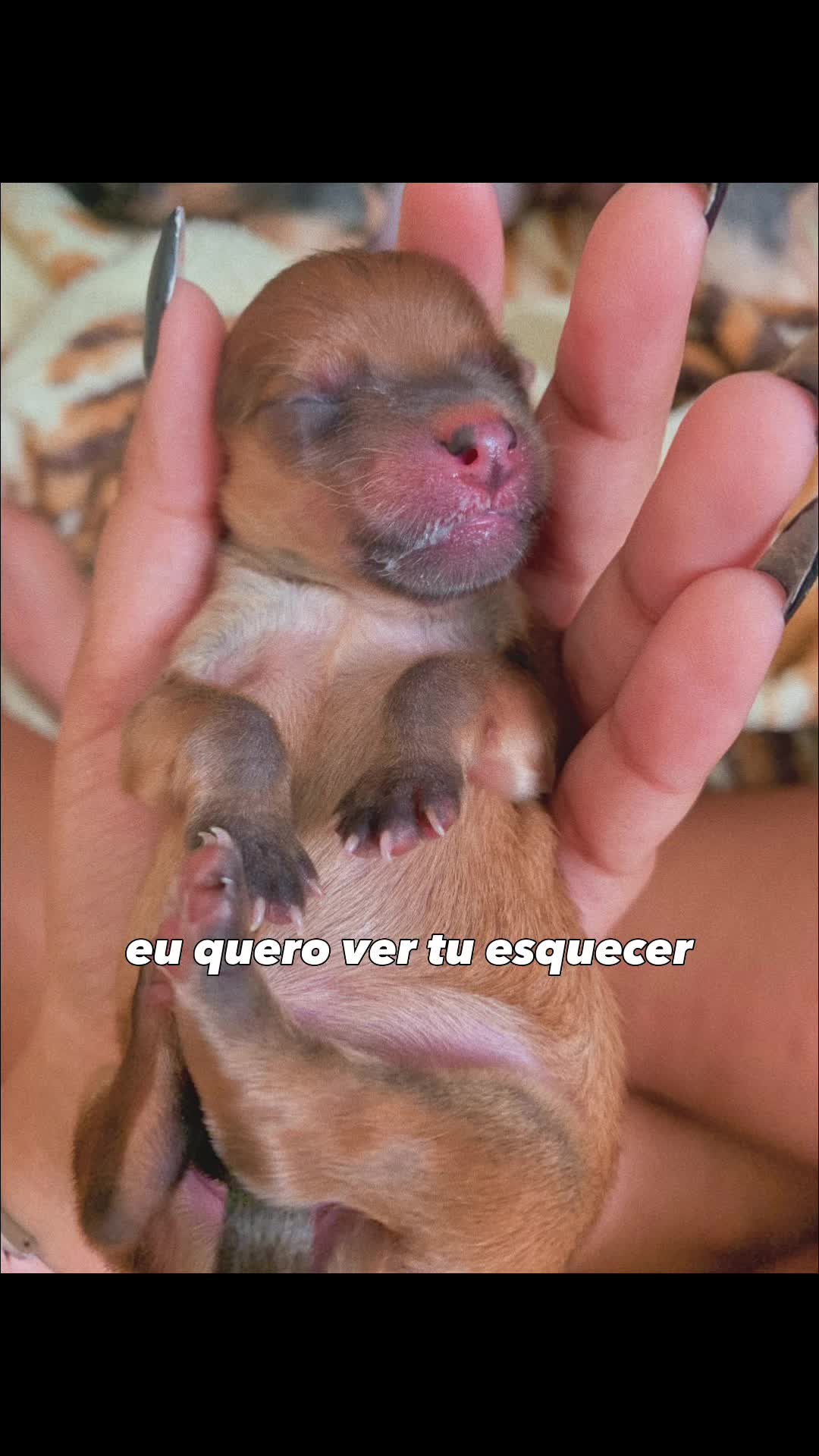 @Zara