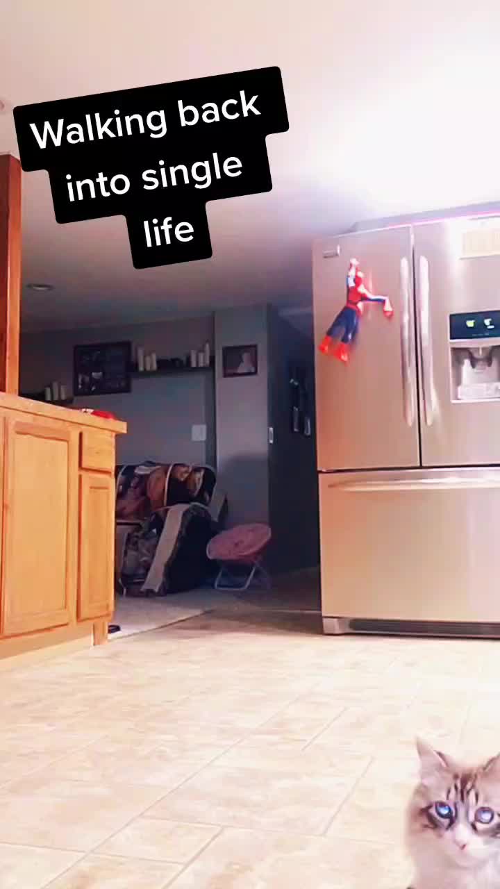 @danifrommn♡