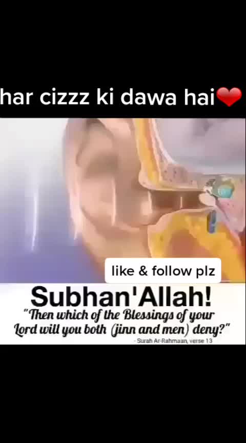@ALLAH❤