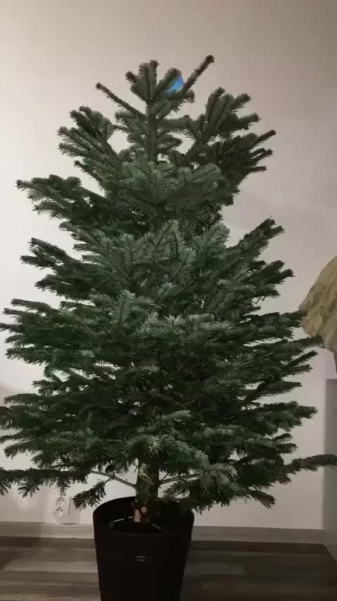 @Andyyysek