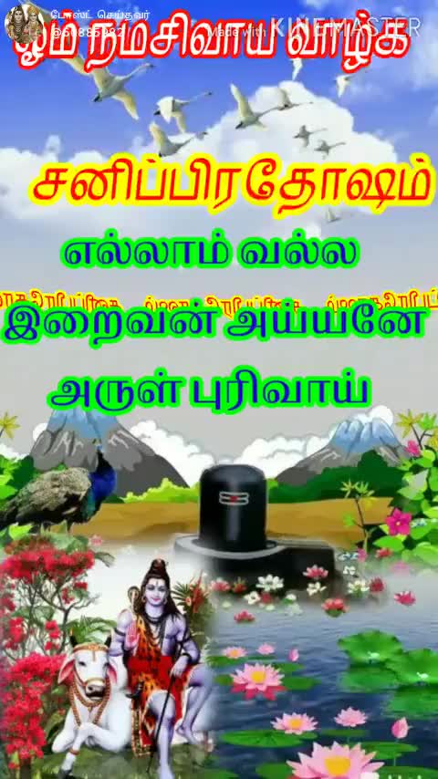 @kumpakonam