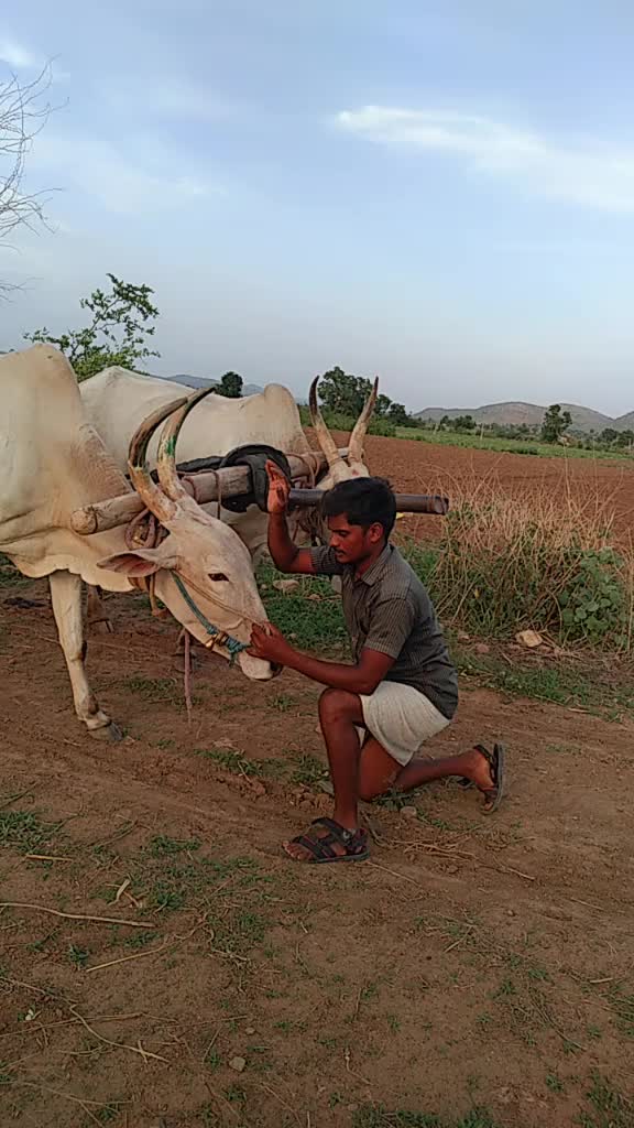 @Hari kumara