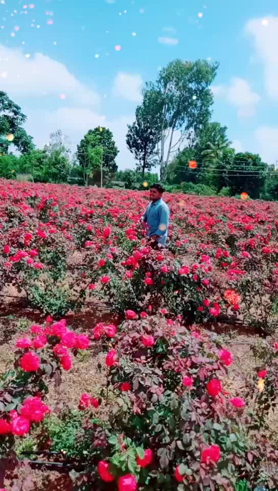 @saishocked12