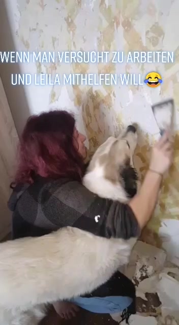 @leila