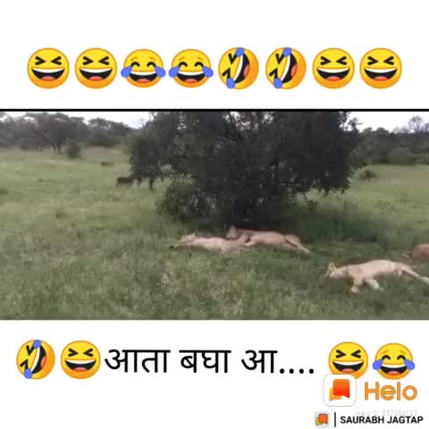 @अशोक नागरगोजे