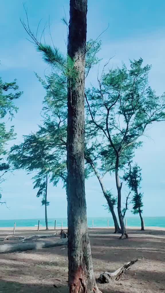 @Sana Sa...