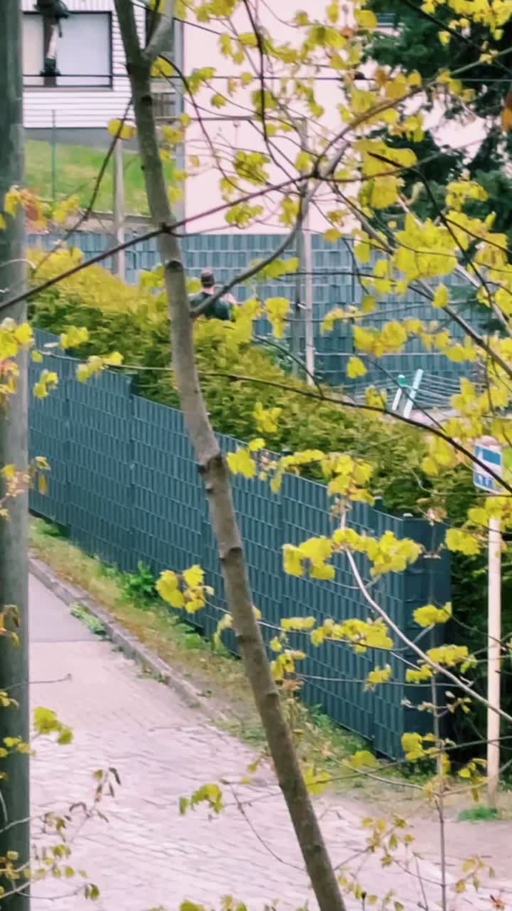@DerStecherVomBrecher