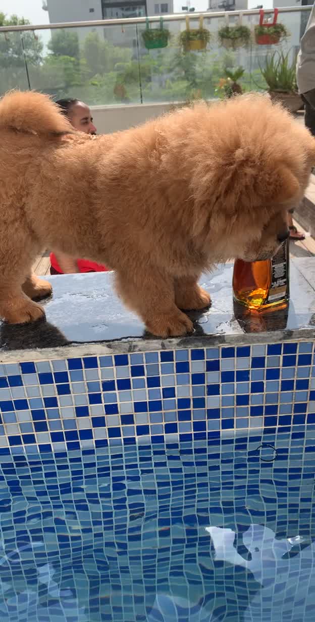 @Karamjyot Singh