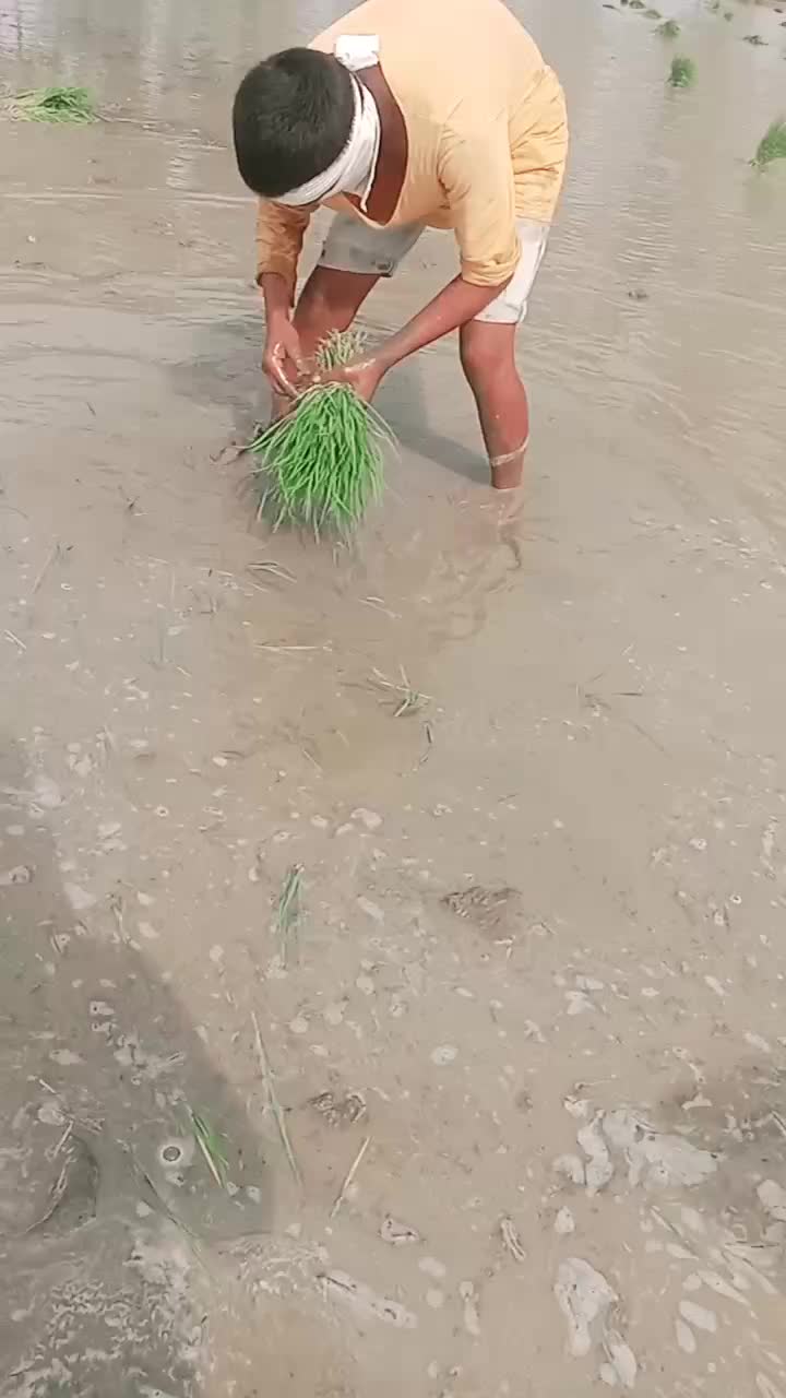 @Raj_official_jatav