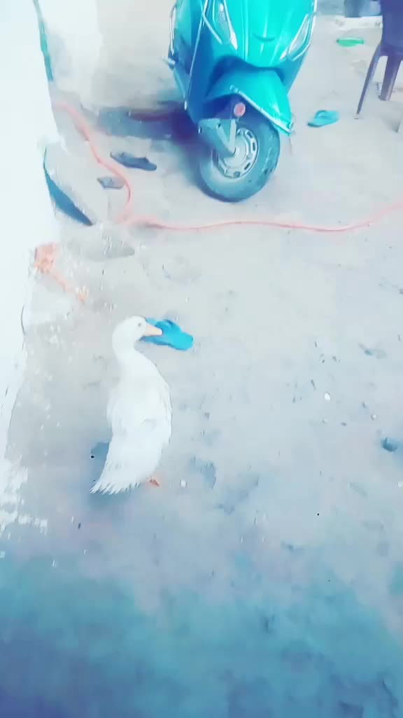 @yashsaraf58
