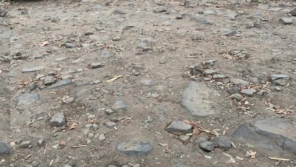 @Vikas Gade Patil