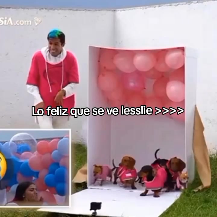 @¿?