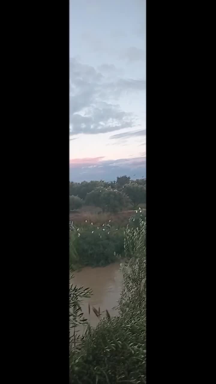 @ام. يحي
