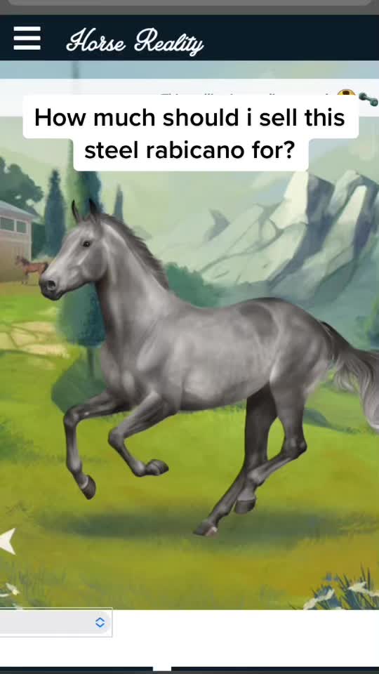 @Horse reality🤍