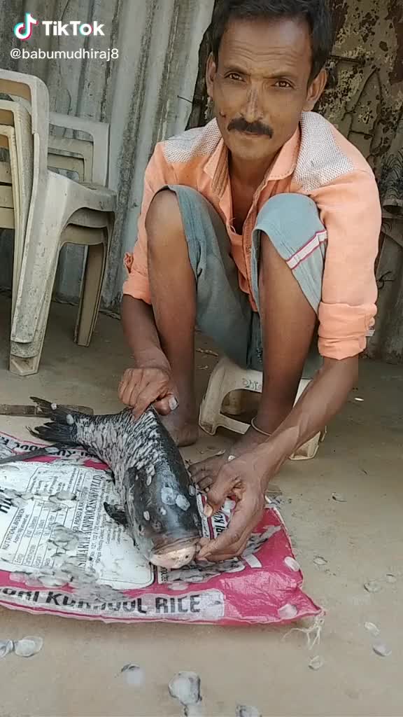 @user5571088208634