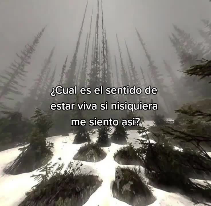 @Somi