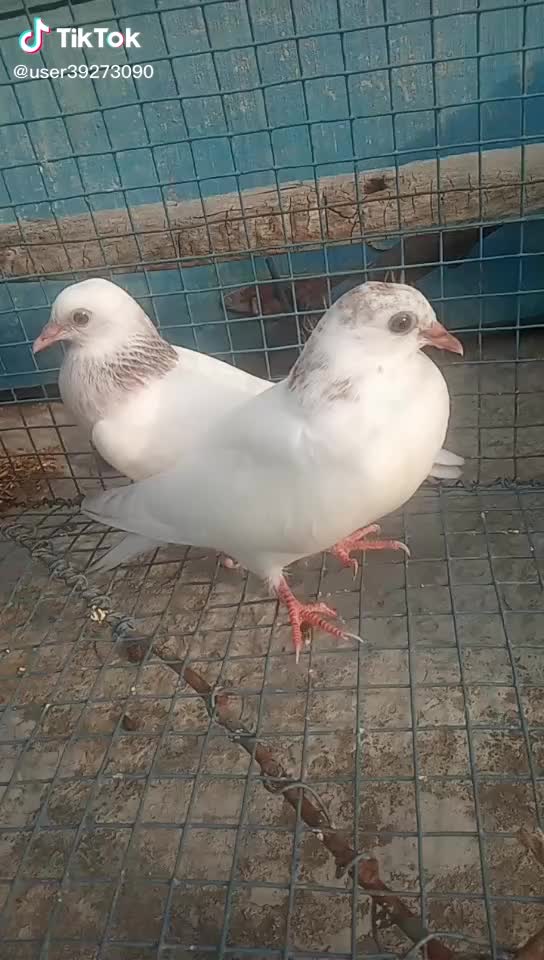 @user23871639834