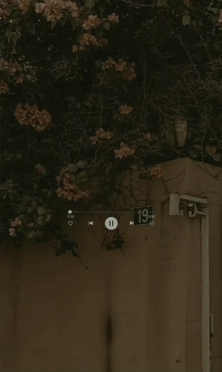 @Hawramiii