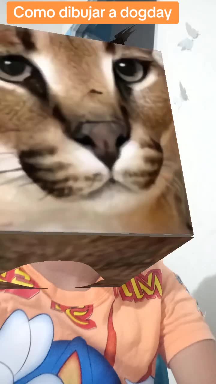 @𝙁𝙇𝙊𝙋𝙋𝘼_𝙈𝙀𝙈𝙀𝙍𝙊100