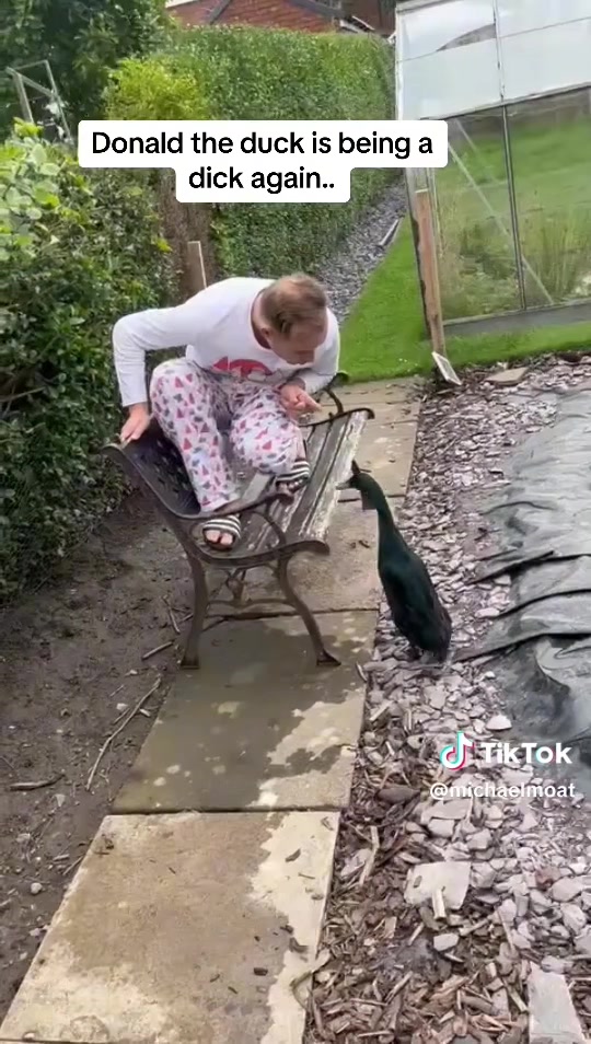 @Crazy Duck UK