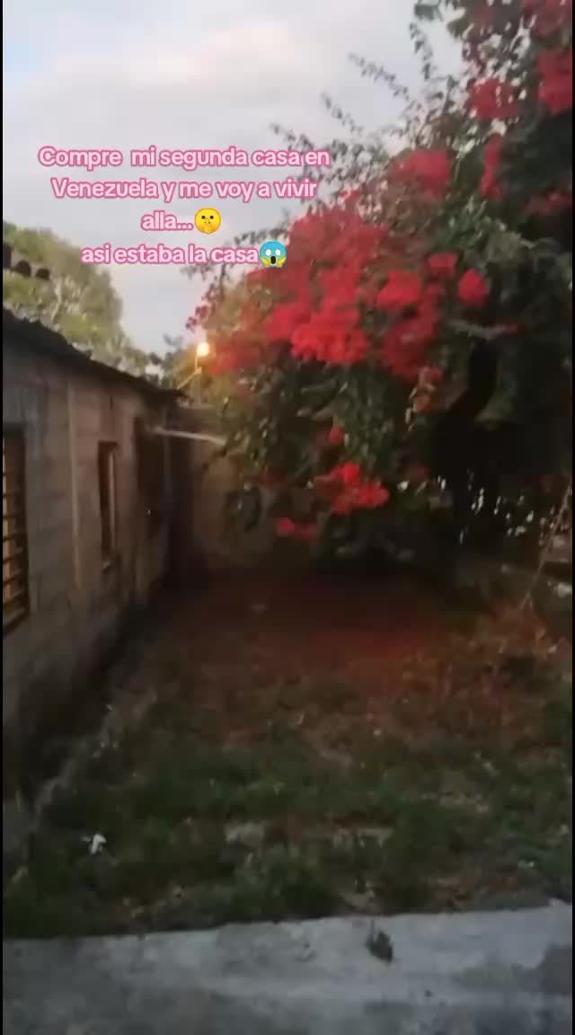 @leiddyochoa_oficial