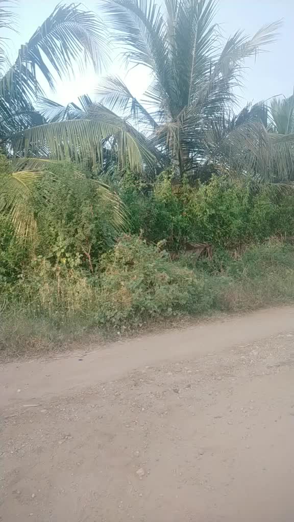 @user1393429972072