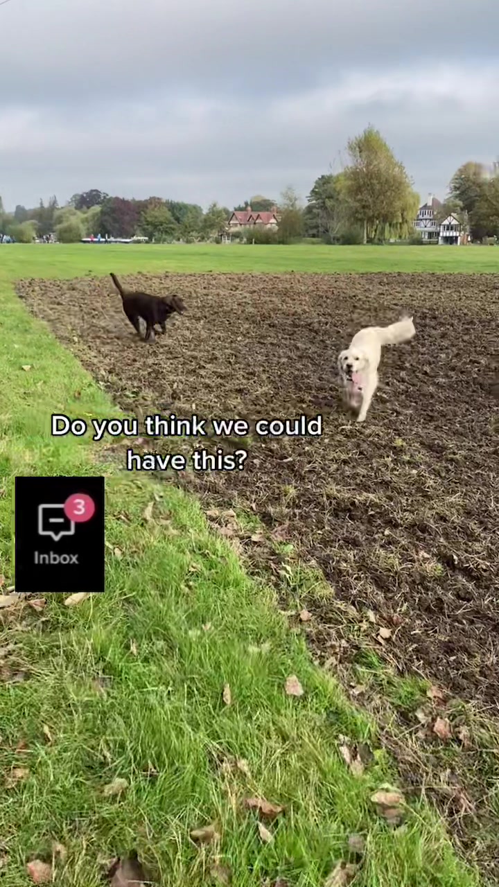 @🐾 𝑻𝒆𝒅𝒅𝒚🐾