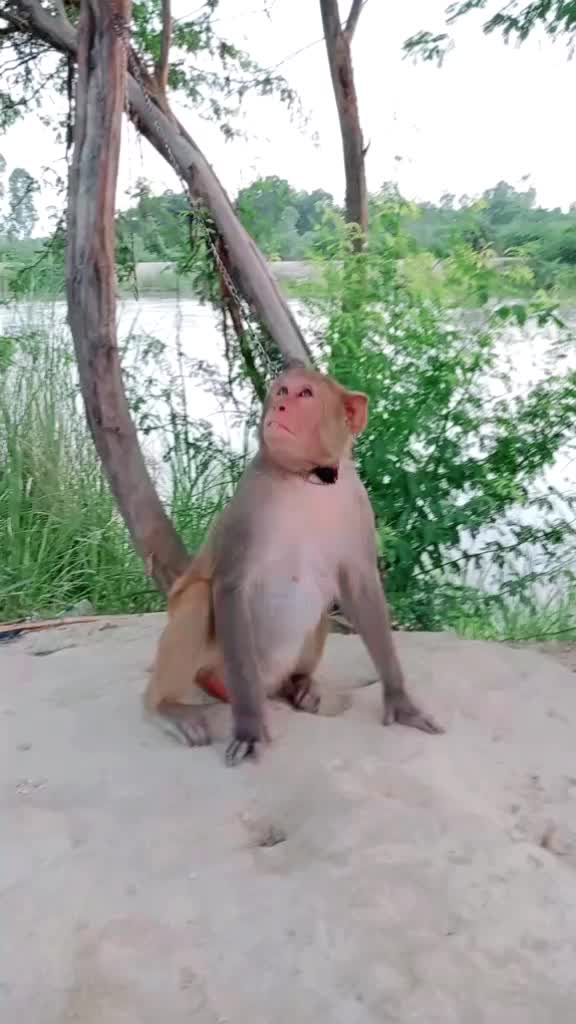 @Mohammad Rizwan