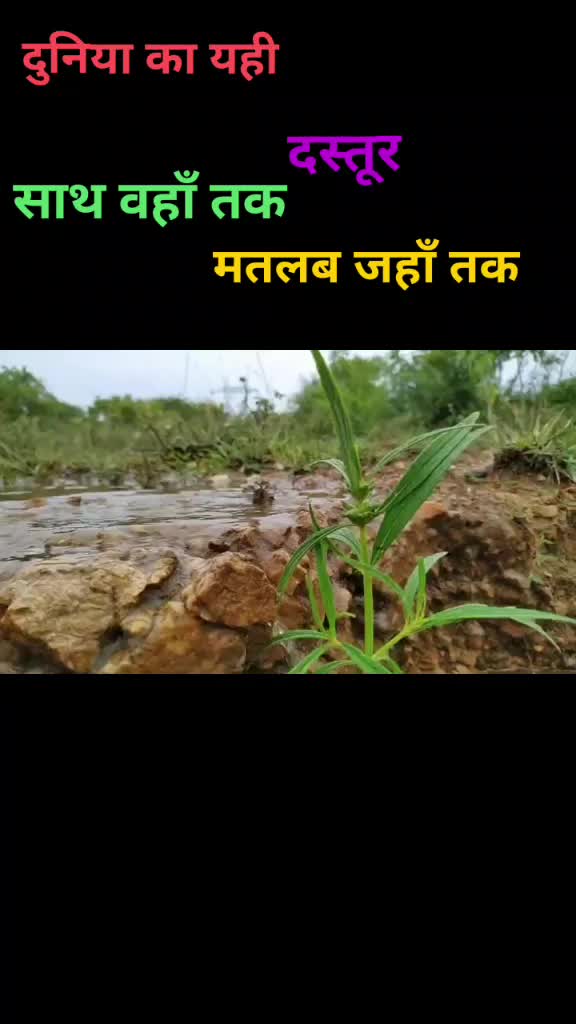 @Pandey Ritesh