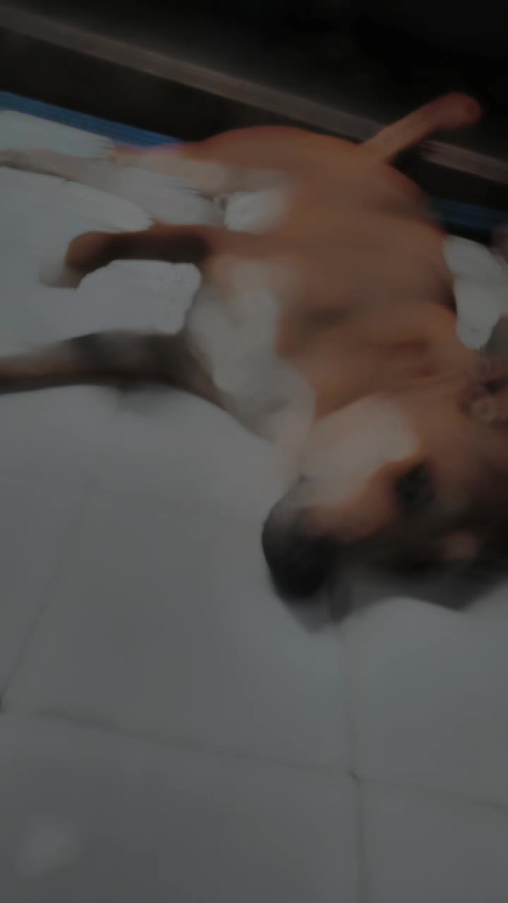 @Uguijaja