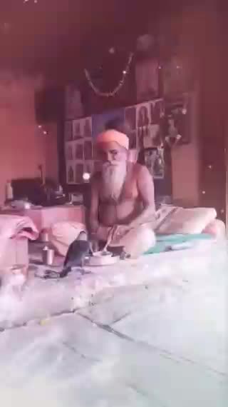 @paridwal 009