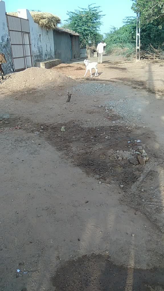 @Aal Gogji