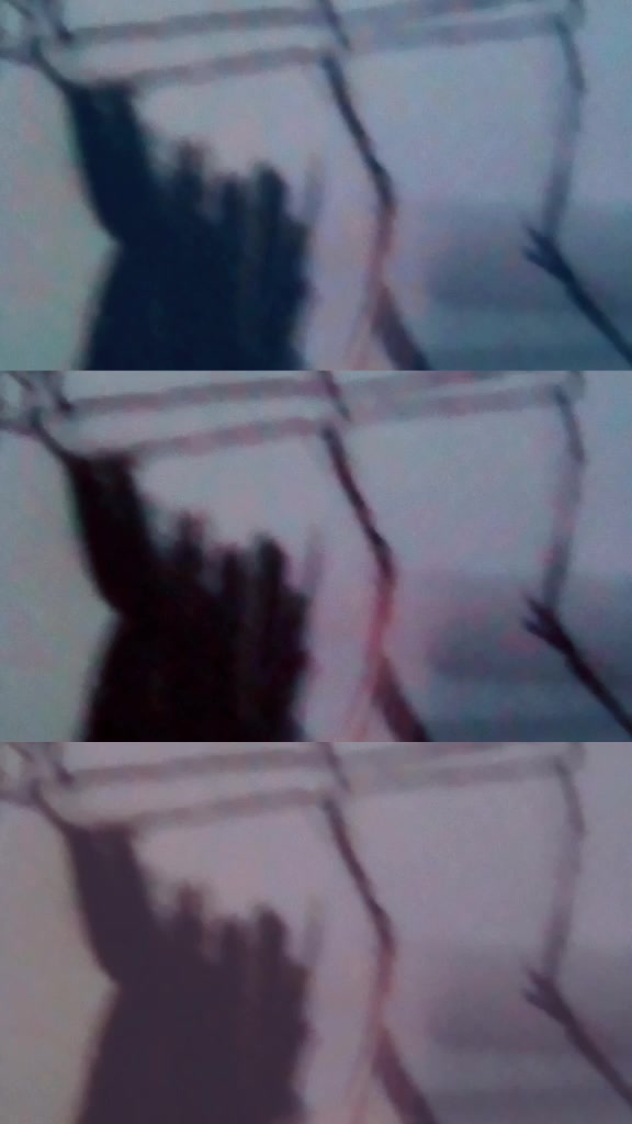 @+_La liciada_+