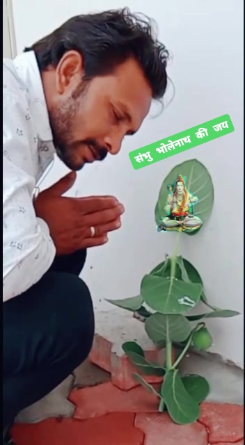 @M s P0079