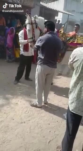 @HajiBhai malthari 🐴