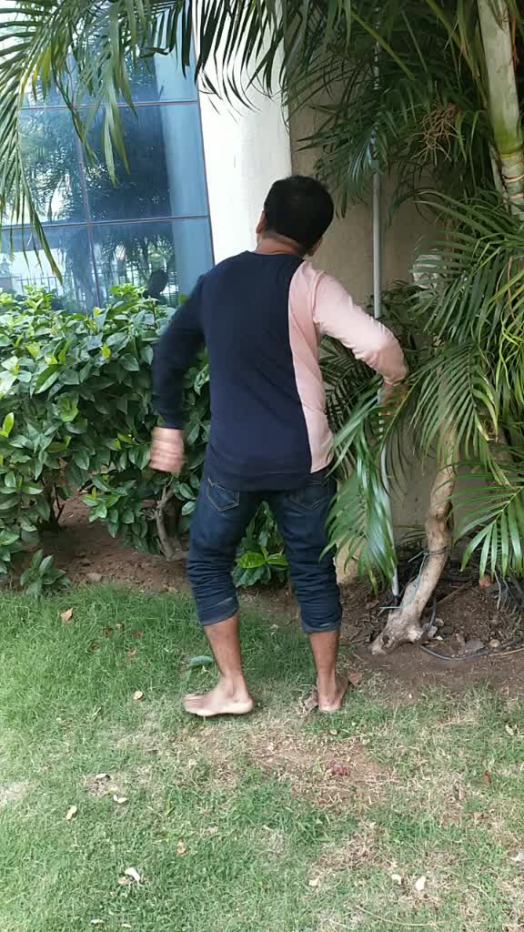 @Rabindranath Palar