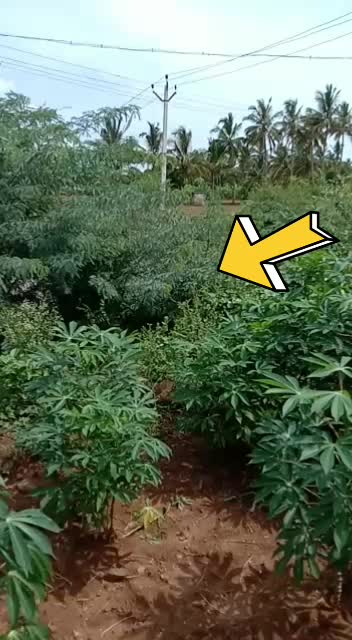 @user138649523962நான்