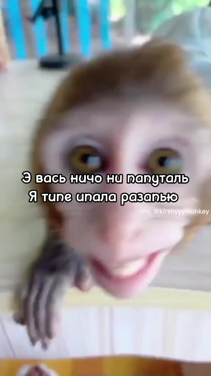 @🍌Киршу Монке🍌