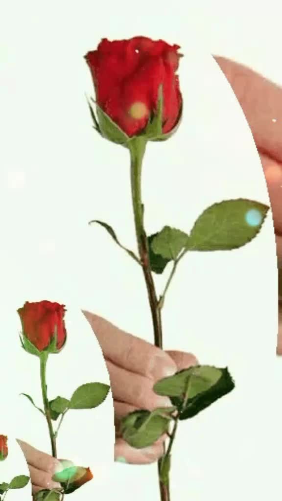 @ASİ💗KIZINIZ