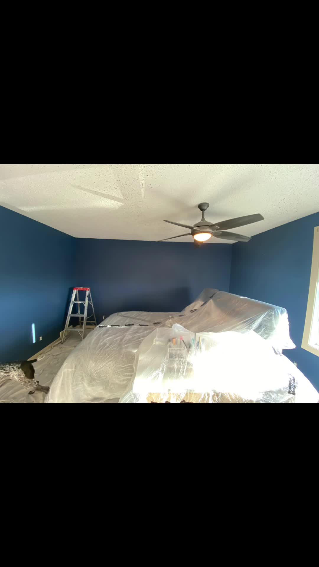 @LPainters/LCleaners